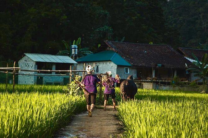 Majesty Of Untouched Northern Vietnam Tour 6 Days - Day 3: Dong Van Market, Hmong Traditions, and Ma Pi Leng Pass Views
