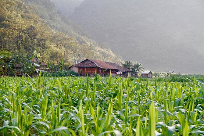 Majesty Of Untouched Northern Vietnam Tour 6 Days - Day 4: Ban Gioc–Detian Falls on the Vietnam–China Border