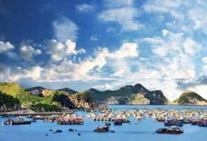 Mon Chéri Cruises 5 star: Amazing 3 days exploring Halong & Cat Ba island - The onboard vibe and service: where the cruise shines