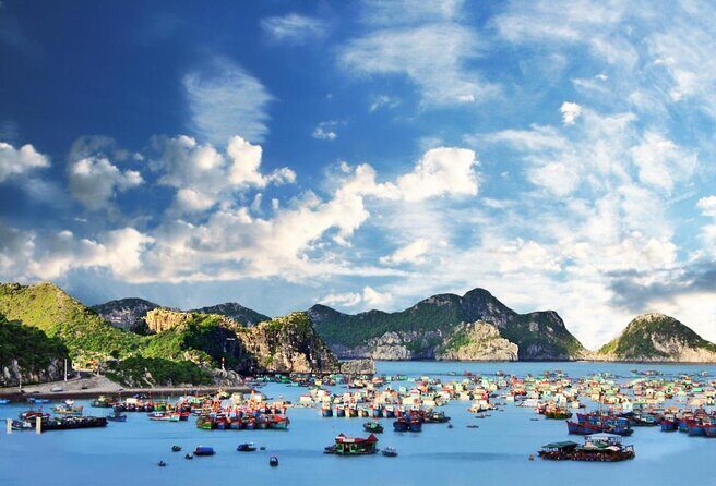 Mon Chéri Cruises 5 star: Amazing 3 days exploring Halong & Cat Ba island - The onboard vibe and service: where the cruise shines