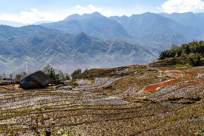 Mountain views & Rice Terraced Fields Hiking – 2D 1N - Ta Van Village: where Giay and Black Hmong meet