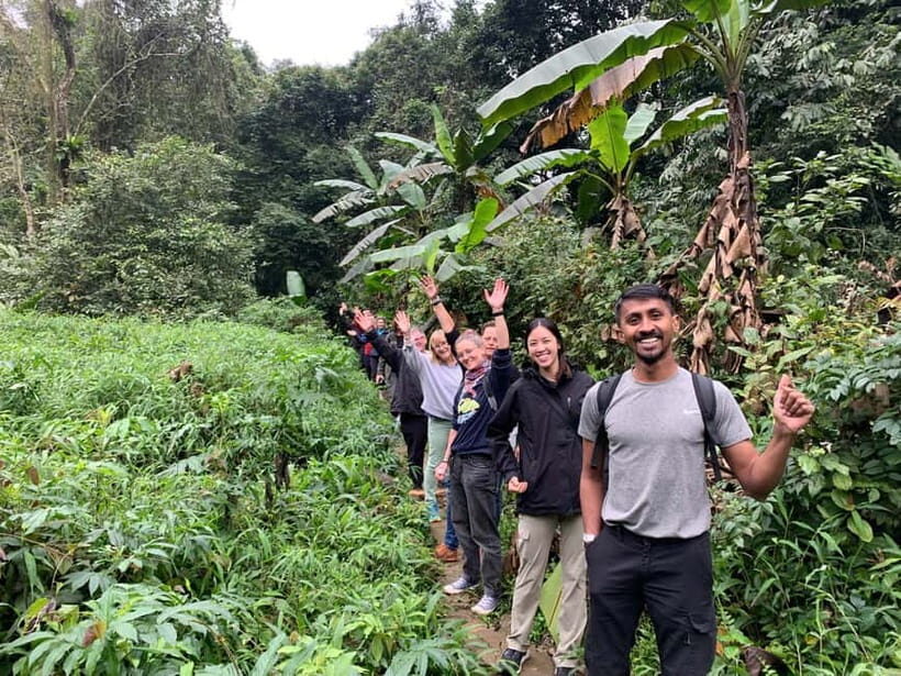 Ninh Binh: Cuc Phuong Jungle Hike & Wildlife Day Trip - Lunch inside the forest: the break you’ll feel good about