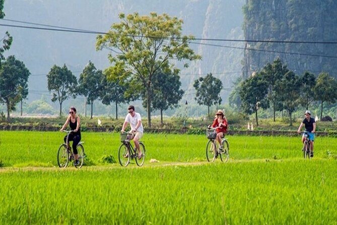 Ninh Binh Day Tour to Hoa Lu Trang An Mua Cave with Buffet Lunch - Price and value: how $53 adds up (and when it makes sense)