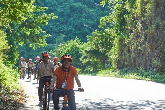 Ninh Binh Day Trip: Hoa Lu-Trang An/Tam Coc-Mua Cave-Cycling-Boat - Trang An Grottoes Boat Tour: The High Point for Cave Views