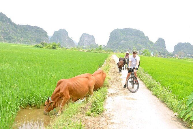 Ninh Binh Full-Day Small Group of 9 Guided Tour from Hanoi - What makes the guide so important on this route