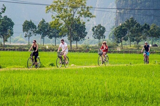 Ninh Binh Full Day Tour to Hoa Lu Tam Coc Mua Cave Buffet Lunch - Buffet Lunch in Ninh Binh: Included and Built for Real Fuel