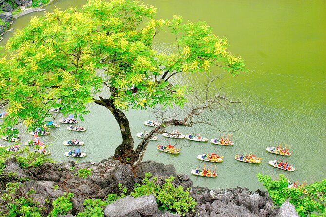 Ninh Binh Full Day Tour with Hoa Lu, Trang An and Mua Cave - Mua Cave and the 500 steps: earn that valley view
