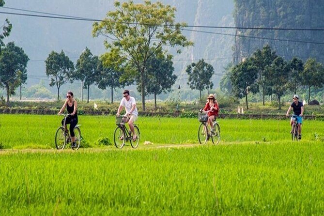 Ninh Binh Full-Day Trip to Trang An Mua Cave Hoa Lu Buffet Lunch - Lunch that actually keeps your energy up
