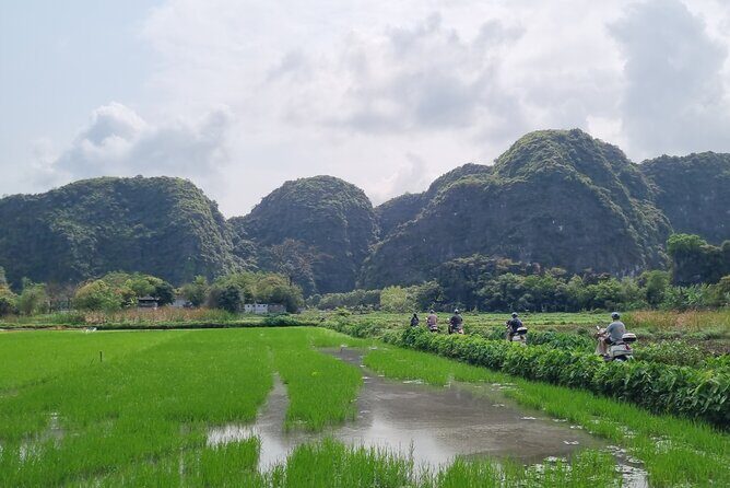 Ninh Binh HIGHTLIGHT & HIDDEN GEM Tour From Hanoi: Skip-The-Line - Scooter time and a real countryside lunch