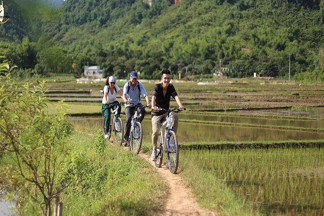NINH BINH MEMORABLE DAY: Hoa Lu, Mua Cave, boat trip Tam Coc, Trang An optional - Lunch and the guide’s role: the day feels smoother with the right person