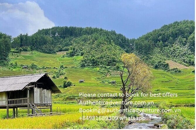 Ninh Binh - Pu Luong | Best Optional Choices | 3 - 4 days Tours - Day 3: Rice-terrace drive, trekking, bamboo rafting, and waterwheels