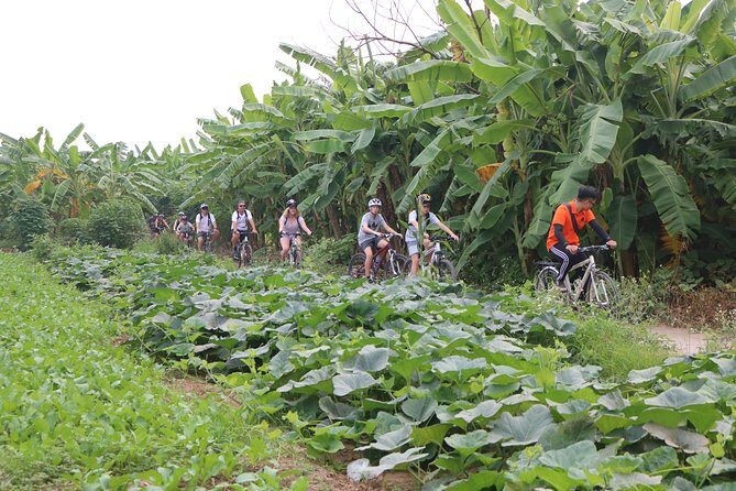 Red River island backroad, Rural Countyside Area and Train Street - The guide experience: what you’ll feel during the ride