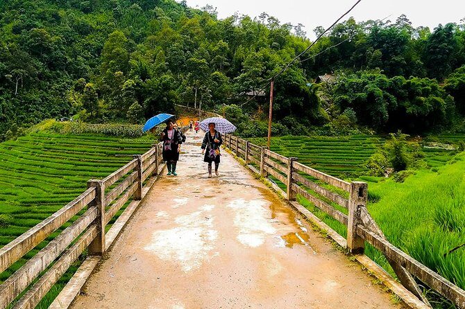 Rice Terraced Fields & Homestay Experience– 2D 1N - Day 1 Ends in Ta Van: Giay Village Homestay and a Night That Feels Like Sapa
