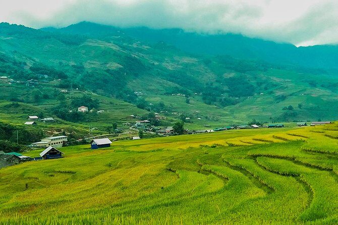 Rice Terraced Fields & Homestay Experience– 2D 1N - The Guides: Why Names Like Sang, Su, Mi, Tung Matter