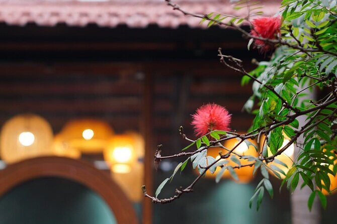 Rose Kitchen Hanoi: Market, Cooking & Culture Tour + Free PickUp - Timing, pickup, and getting there without stress