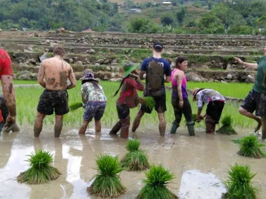 Sa Pa: 2-Day Trekking Trip with Ethnic Minority Homestay - Day 2: Bamboo forest, Giang Ta Chai, a waterfall break, and Muong Hoa River cool-down
