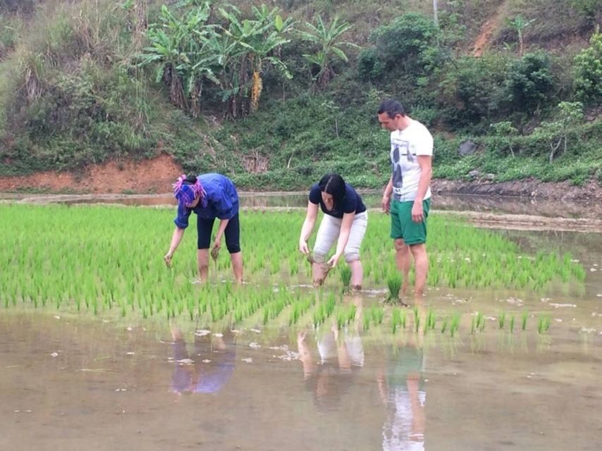 Sa Pa: 6-Hours Muong Hoa Valley Trek with Local Ethnic guide - Key things I’d plan around