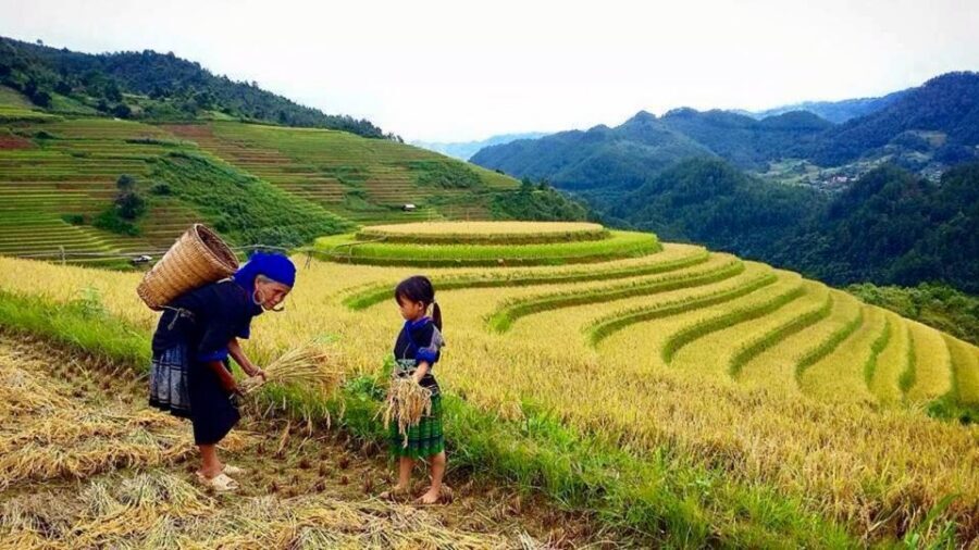 Sa Pa: 6-Hours Muong Hoa Valley Trek with Local Ethnic guide - Y Linh Ho and the Black Hmong village rhythm