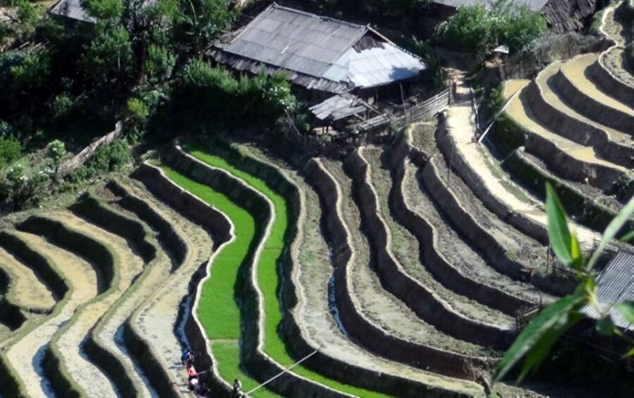 Sa Pa: 6-Hours Muong Hoa Valley Trek with Local Ethnic guide - Guide quality: why local English-speaking guidance changes the day