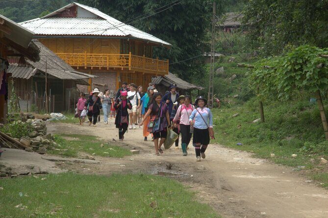 Sa Pa Full Day Trekking Tour - How Tough Is It, Really? Steep, Slippery, and Mud-Friendly
