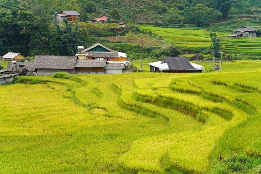 Sa Pa: Half-Day Cat Cat Village Hike to Meet H'mong People - Cat Cat Village’s setting: why the valley matters in real life