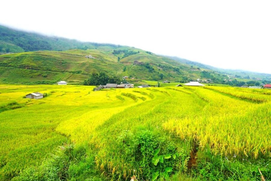 Sa Pa: Half-Day Cat Cat Village Hike to Meet H'mong People - Price and value: is $17 really fair for what you get?