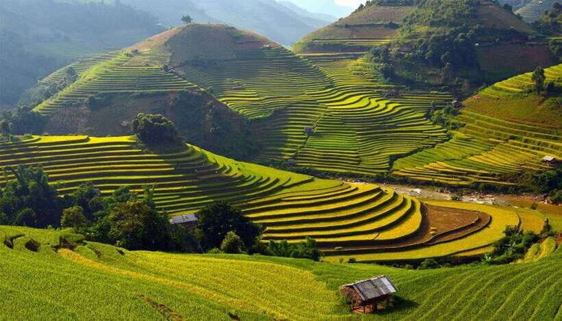 Sa Pa: Muong Hoa Valley Trek and Local Ethnic Villages - Your 6-hour plan: 10 km, a small group, and a steady pace