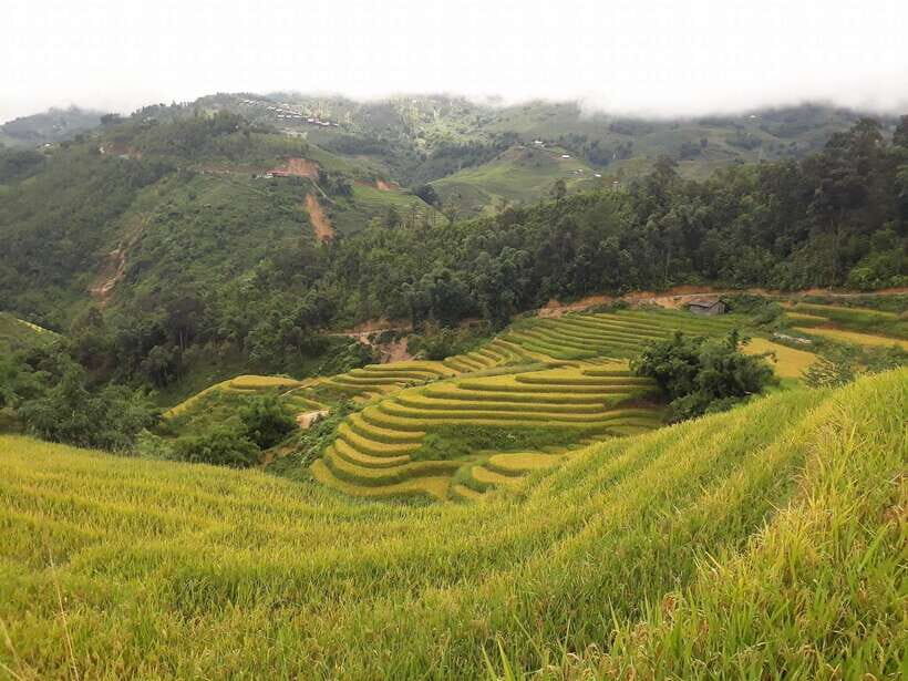 Sa Pa: Muong Hoa Valley Trek and Local Ethnic Villages - Ta Van Giay, a suspension bridge, and ancient rock carvings