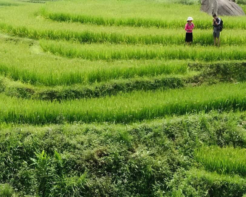 Sapa 1 Day Long Trek: Trek to Hau Thao and Sa Seng Villages - The family lunch stop: where the day slows and you eat like you mean it
