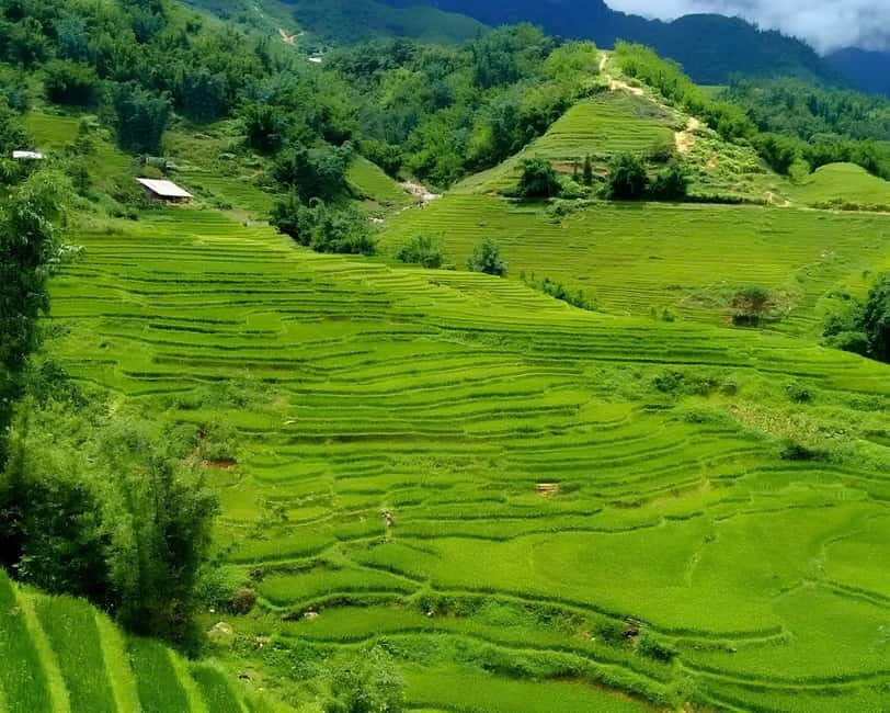 Sapa 1 Day Long Trek: Trek to Hau Thao and Sa Seng Villages - Hau Thao Village: farming seasons, house-building talk, and culture lessons