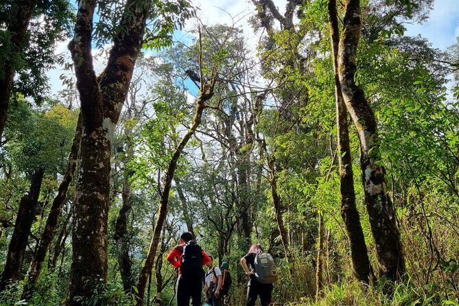 Sapa 1 day trek with local guide to the village by Comlam - 9am Pickup to 4:30 Return: How the Day Really Flows