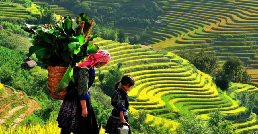 Sapa: 3-Day, 3-Night Trek and Hotel with Overnight Train - Key highlights worth caring about