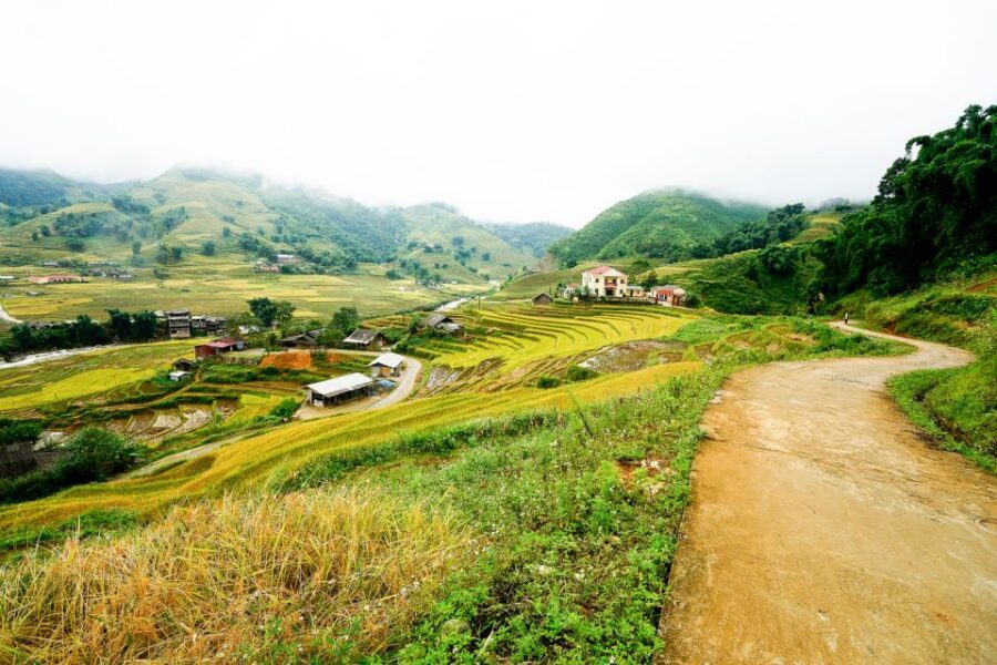 Sapa: 3-Day, 3-Night Trek and Hotel with Overnight Train - Day 2: Muong Hoa Valley trekking, Y Linh Ho to Lao Chai, then Ta Van (Dzay Zay)