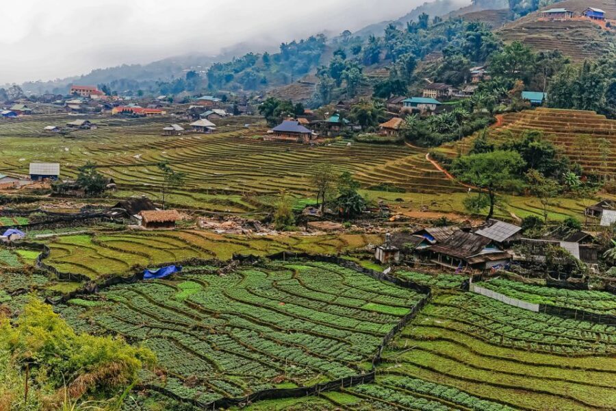 Sapa: 3-Day, 3-Night Trek and Hotel with Overnight Train - Day 1: settling into Sapa, then down to Sin Chai (Black H’mong)
