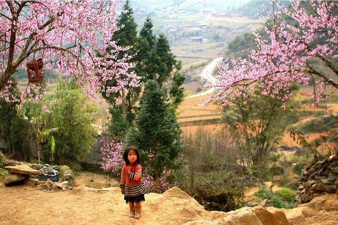 Sapa 3 Days 2 Nights Trekking Tour (1 Night In Ta Van Village, 1 Night In Hotel) - Day 3: Giang Ta Chai Village and the Long Comeback to Hanoi