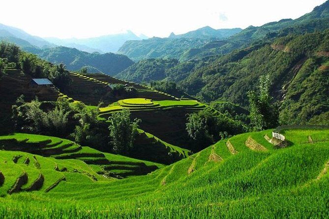 Sapa 3 Days 2 Nights Trekking Tour From Hanoi (2 Nights in Hotel) - Day 2: Muong Hoa river trek, rice terraces, and Ta Van village life
