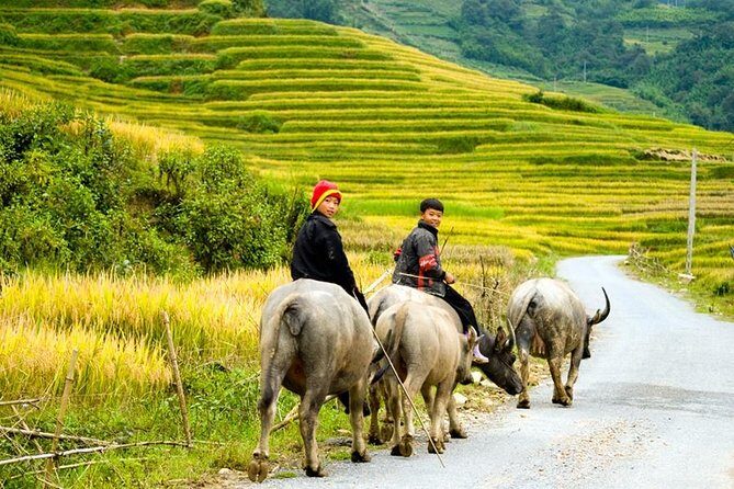 Sapa 3 Days 2 Nights Trekking Tour From Hanoi (2 Nights in Hotel) - Guides and group size: where the experience really depends