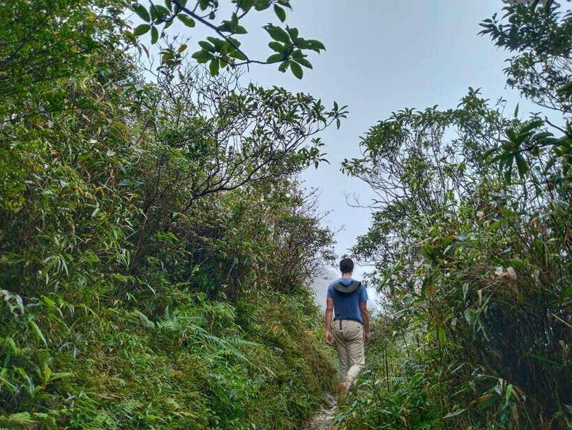SAPA : Climb up to Fansipan mountain with LOCAL GUIDE - The Early Start: Pickup in Sa Pa to Tram Ton Pass