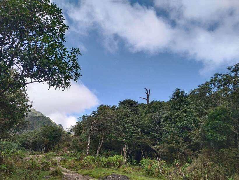 SAPA : Climb up to Fansipan mountain with LOCAL GUIDE - The Descent Back to Tram Ton Pass and Sa Pa (By 4–6 PM)