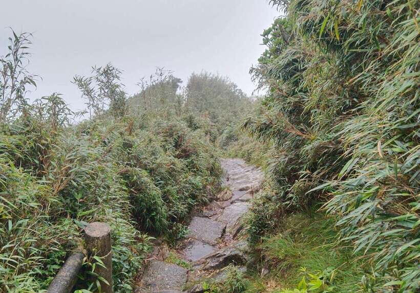 SAPA : Climb up to Fansipan mountain with LOCAL GUIDE - Cable Car Down: When It Helps and How to Plan for It
