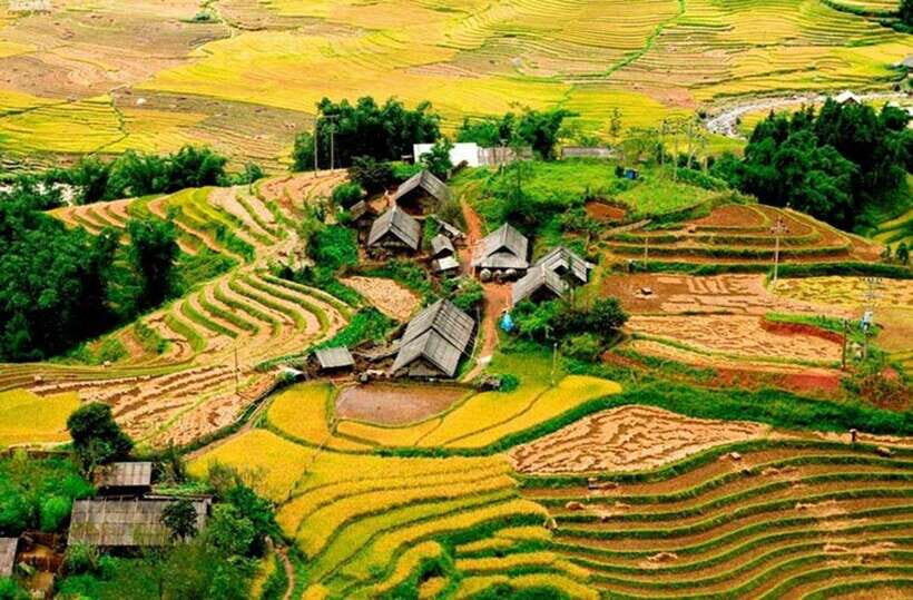 Sapa: Eco Adventure Terrace Fields and Local Villages Trek - Why This Sapa Trek Feels More Real Than a Drive-By