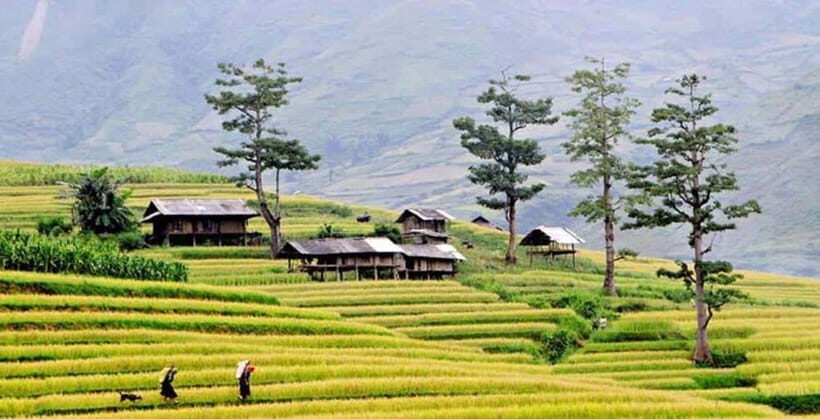 Sapa: Eco Adventure Terrace Fields and Local Villages Trek - Muong Hoa Valley Morning: Viewpoints Toward Fansipan Peak