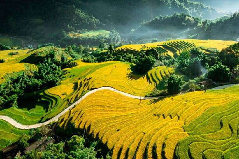 Sapa: Eco Adventure Terrace Fields and Local Villages Trek - Y Linh Ho Village (Hmong): Crossing the Bridge Into Village Life