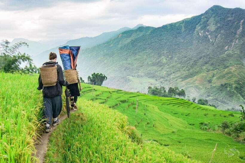 Sapa: Eco Adventure Terrace Fields and Local Villages Trek - Lunch in Lao Chai Sang: The Meal That Makes the Price Make Sense