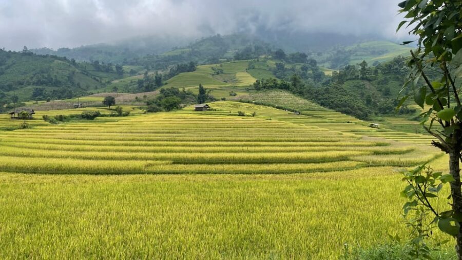 Sapa: Motorbike Tour 1 Day Visit Waterfalls & Local Villages - Lonely Tree (Haven Gate): the quick viewpoint that resets your eyes