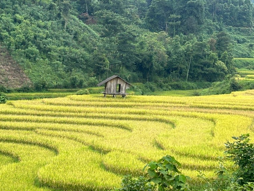 Sapa: Motorbike Tour 1 Day Visit Waterfalls & Local Villages - Lunch in Lao Chai: an included meal with a real village setting