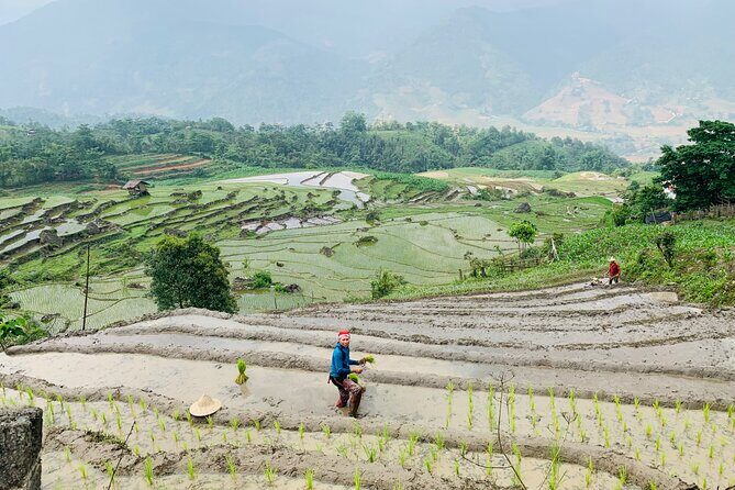 Sapa Motorbike Tour With Local Guide 1 Day - Waterfalls, Villages - Tram Ton Pass and Hoàng Liên National Park: the Golden Stream walk