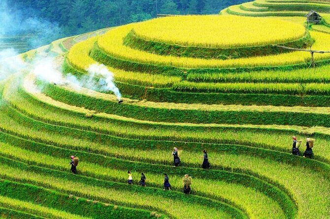 Sapa Muong Hoa Valley & Ta Van Eco Village Scenic Tour (No Trek) - Key highlights before you go