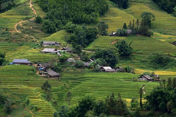 Sapa Muong Hoa Valley & Ta Van Eco Village Scenic Tour (No Trek) - The Culture Piece: Learning About Giay and H’Mong Life