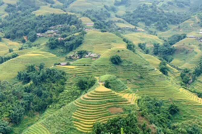 Sapa The Hidden Trail Trek 1 Day - Mountain & Rice Valley - Morning Start: Pickup, Sapa Church, and the Ham Rong/Dragon Jaw Views